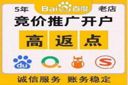 某电商平台信息流竞价策略及成效分析